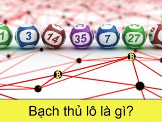 Bạch thủ lô là gì?